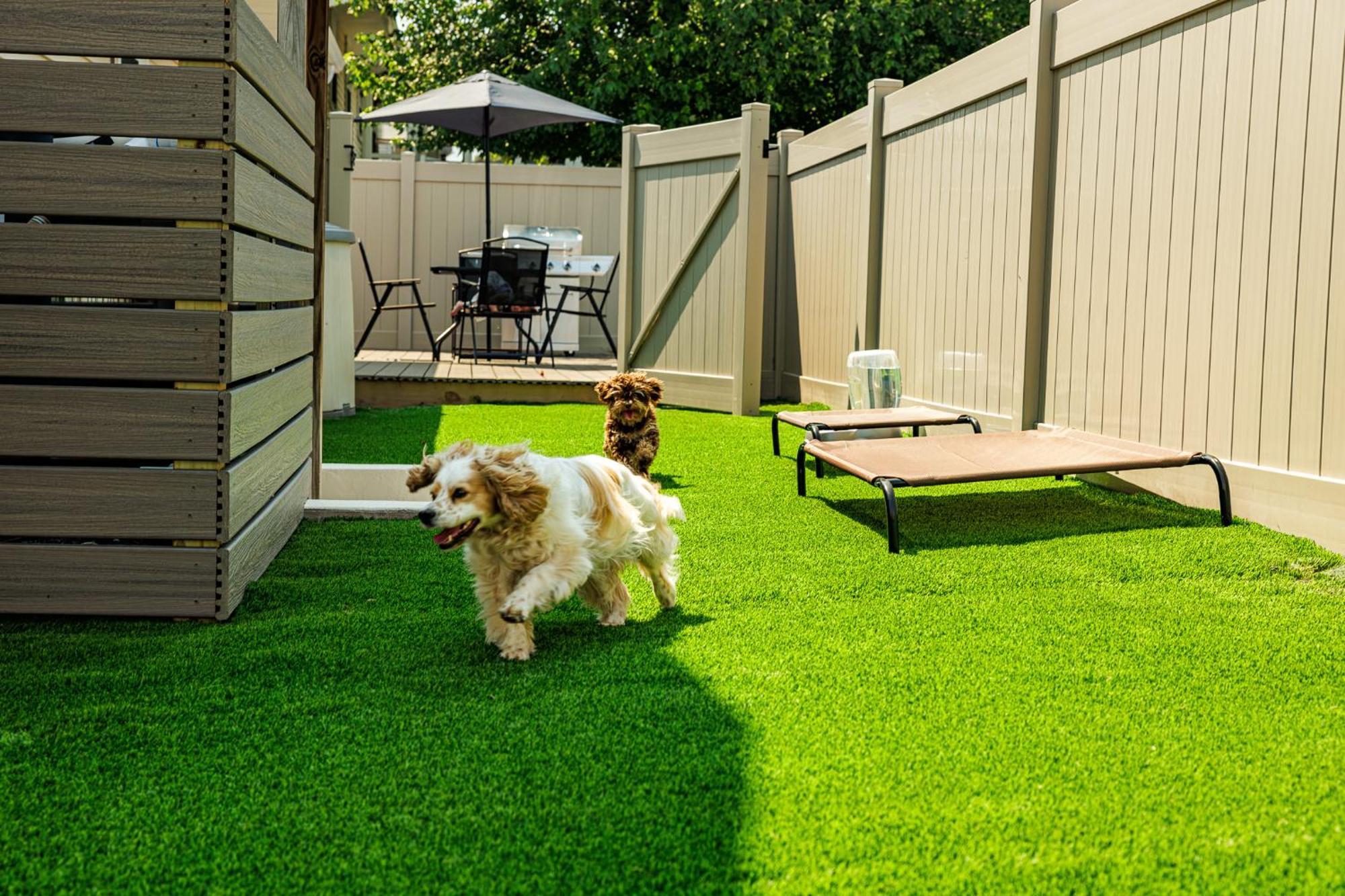 The Cooper Home, Dogs Welcome! * Ephrata