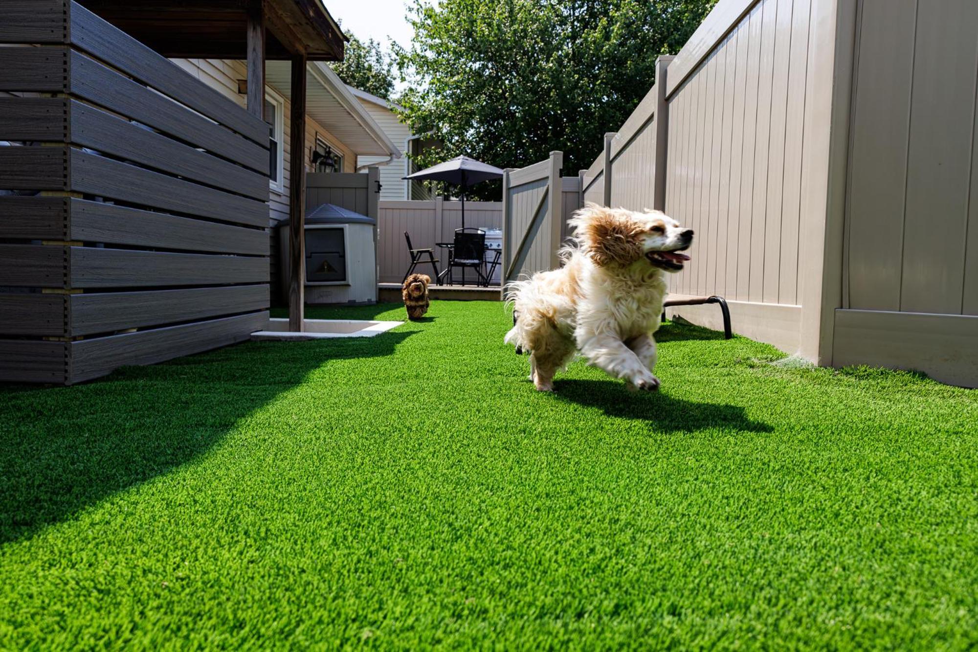 The Cooper Home, Dogs Welcome! * Ephrata