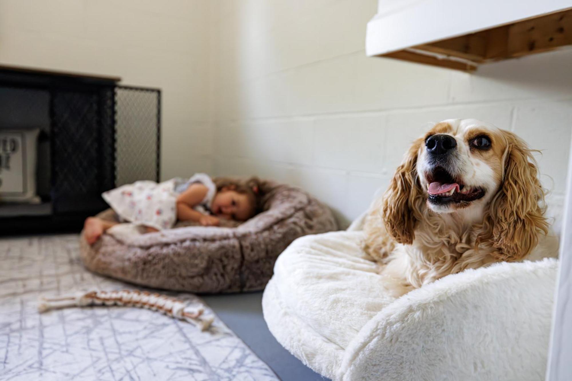 The Cooper Home, Dogs Welcome! Holiday home Ephrata