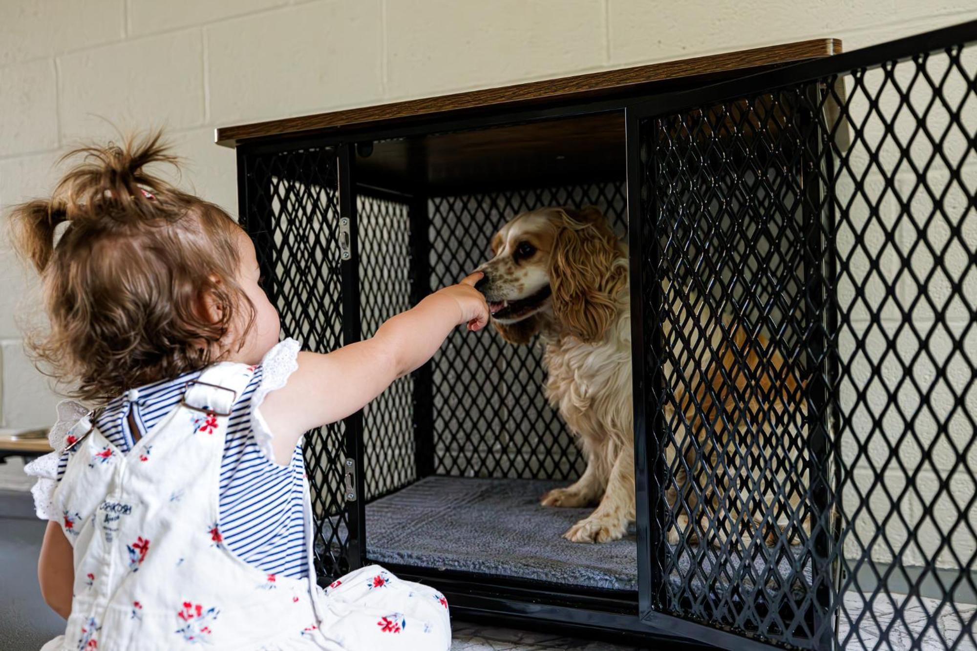 The Cooper Home, Dogs Welcome! Holiday home